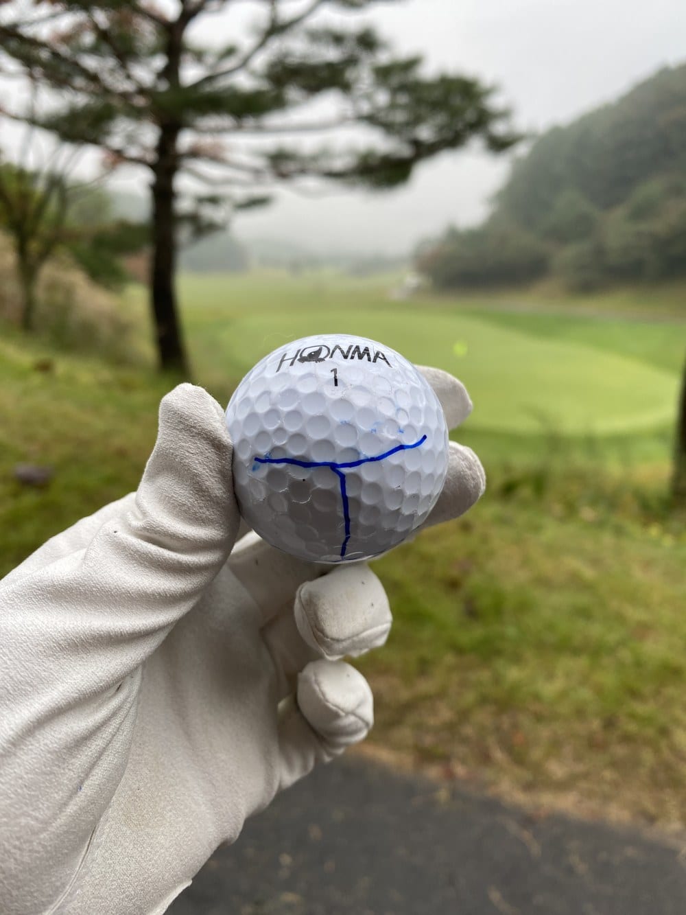 A gloved hand holding a golf ball that has a blue line with a short crossbar drawn across it, with a fairway and green out of focus behind.